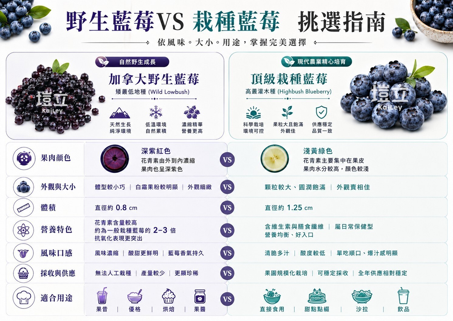 加拿大野生藍莓與栽種藍莓果粒大小外觀差異比較